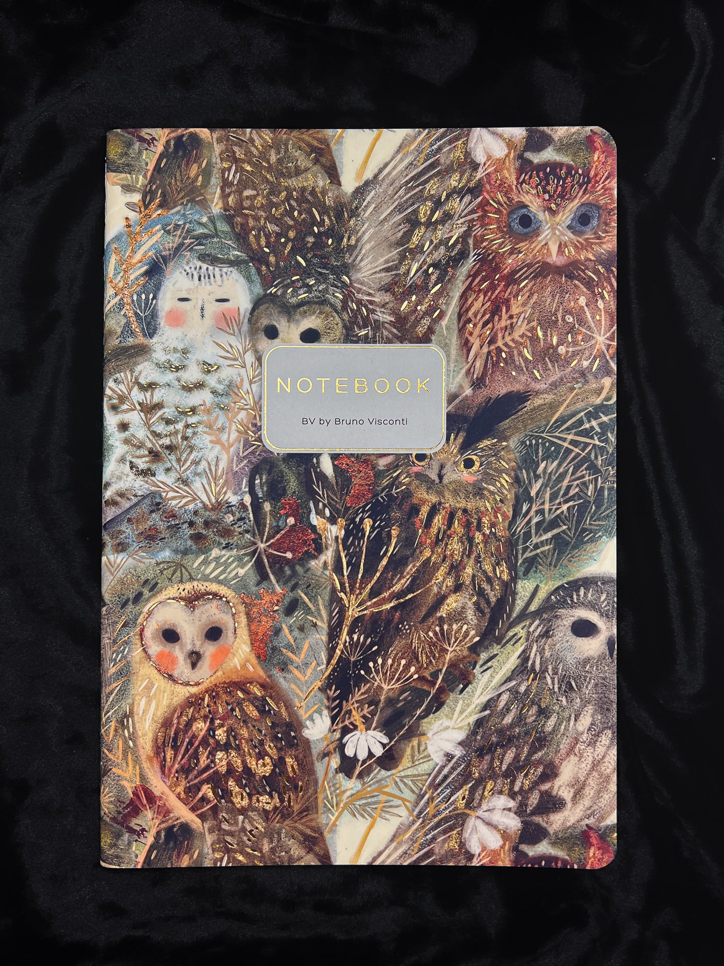 Bruno Viconti Notebook