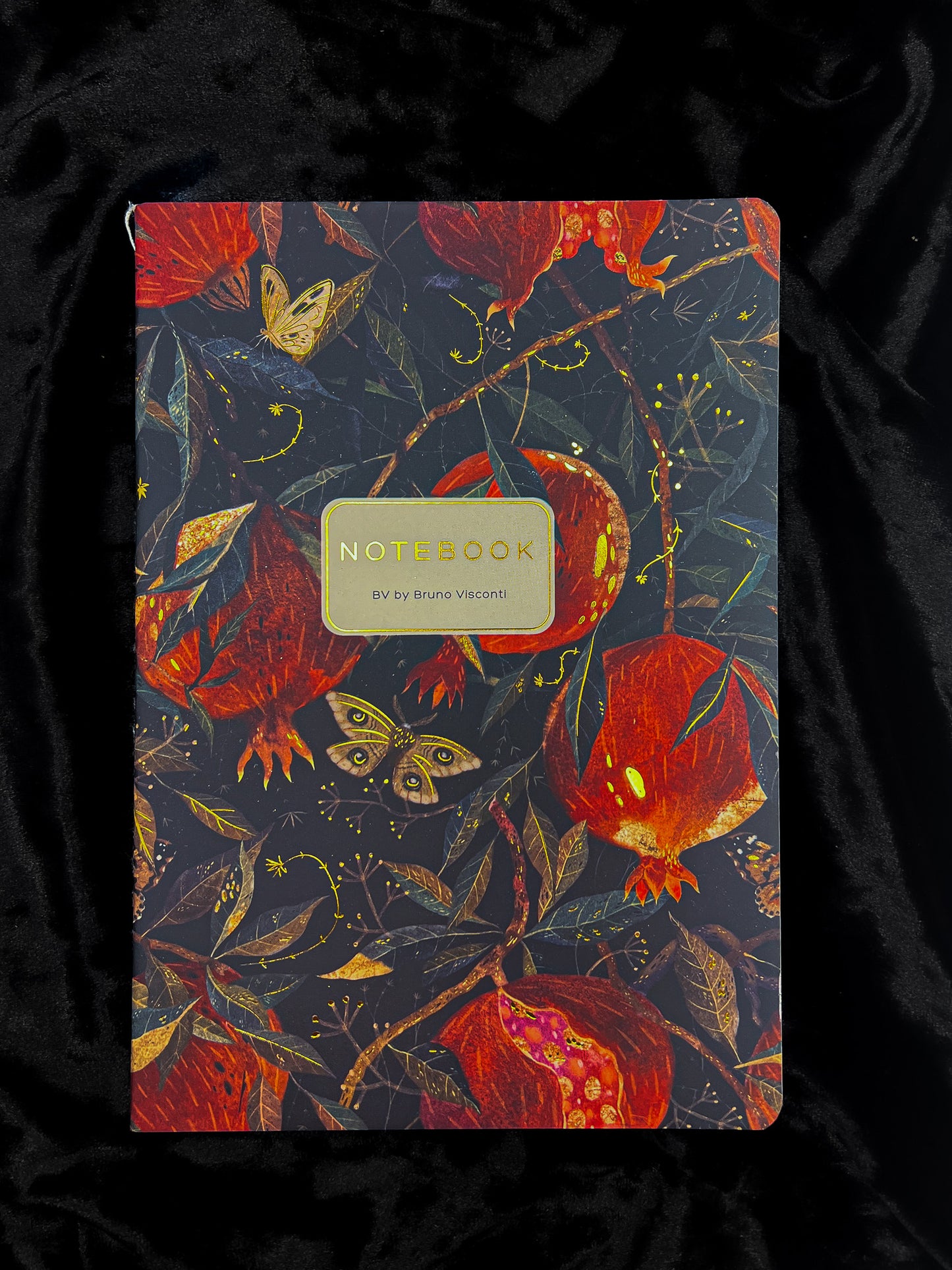 Bruno Viconti Notebook