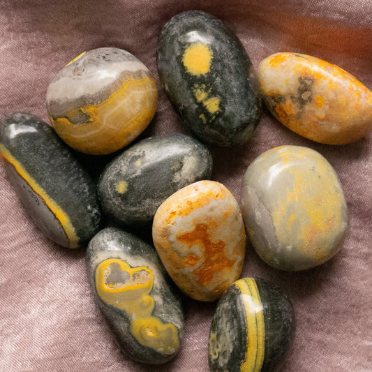 Bumblebee Jasper Tumble