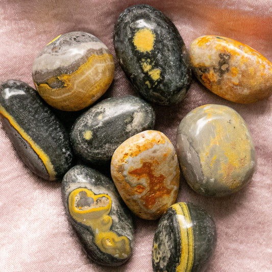 Bumblebee Jasper Tumble