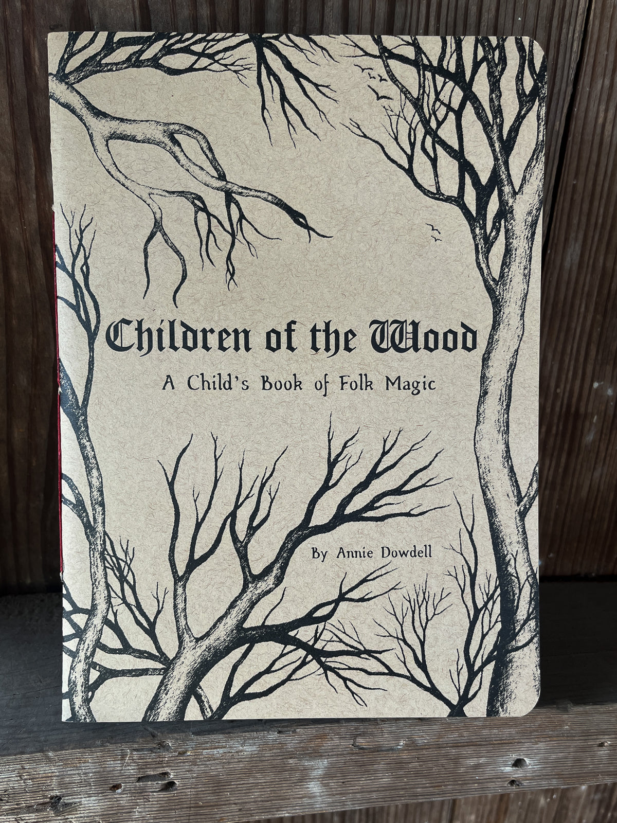 Children of the Wood: A Child's Book of Folk Magic