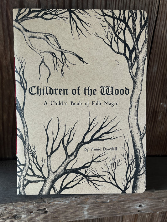 Children of the Wood: A Child's Book of Folk Magic