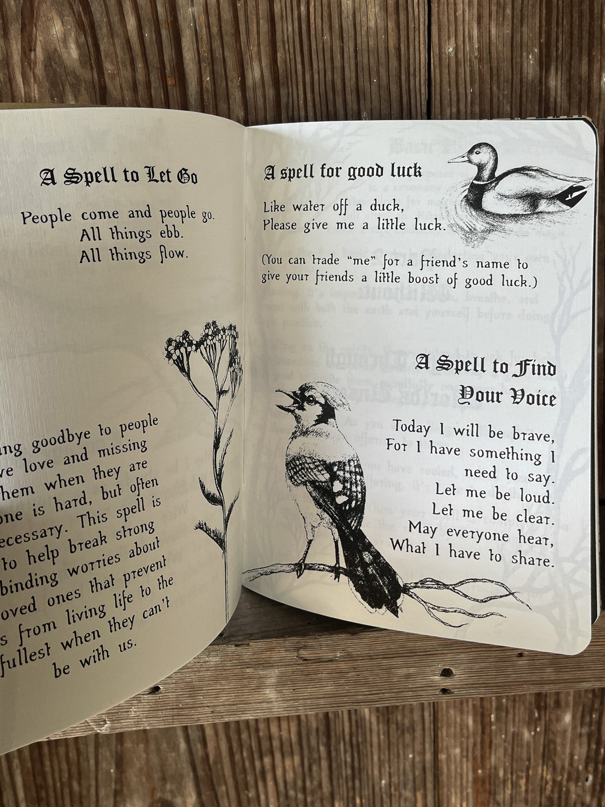 Children of the Wood: A Child's Book of Folk Magic