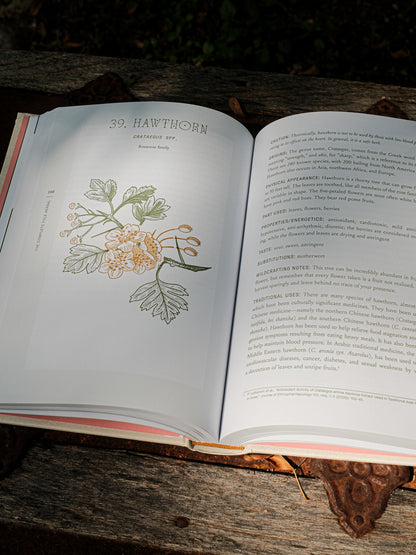 Complete Folk Herbal