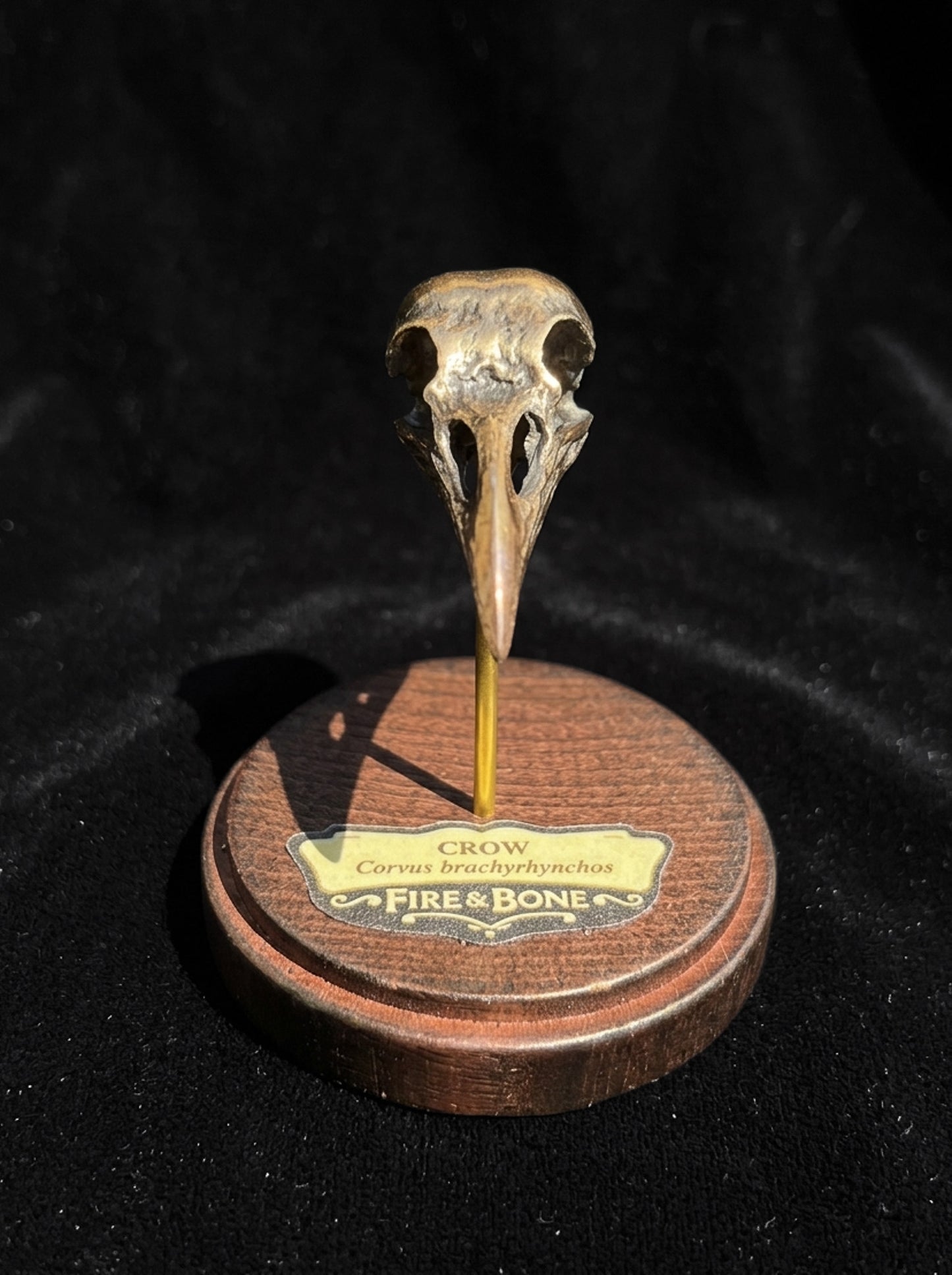 Crow Skull Necklace