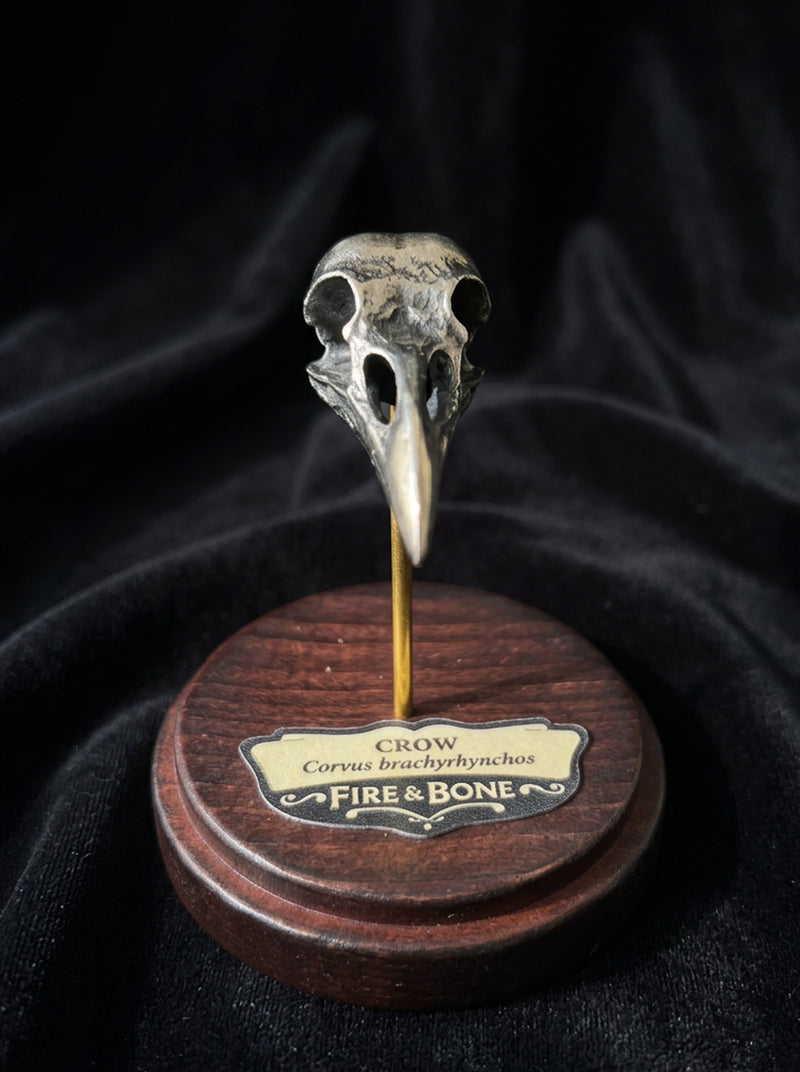 Crow Skull Necklace