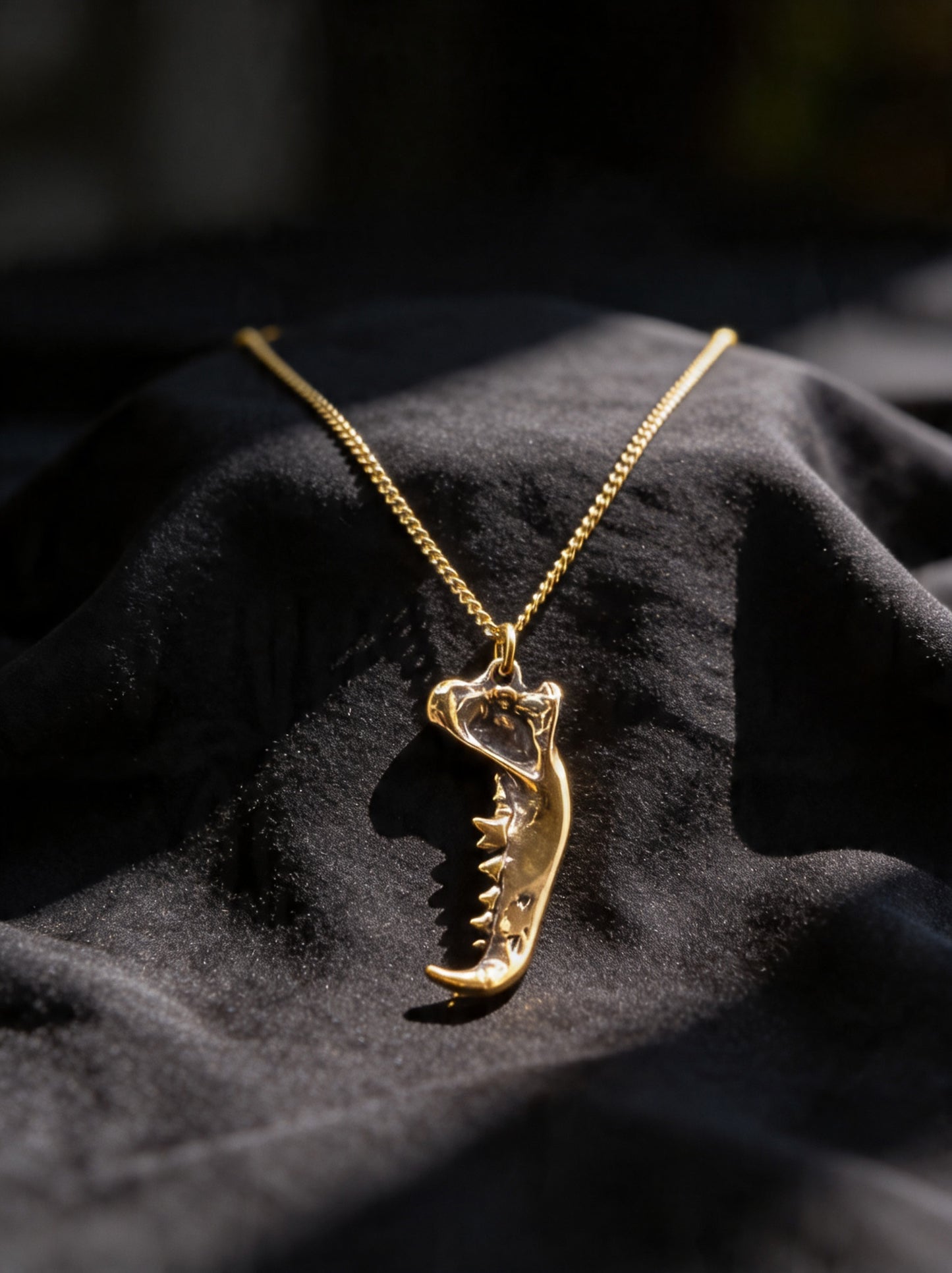 Dire Wolf Jaw Necklace