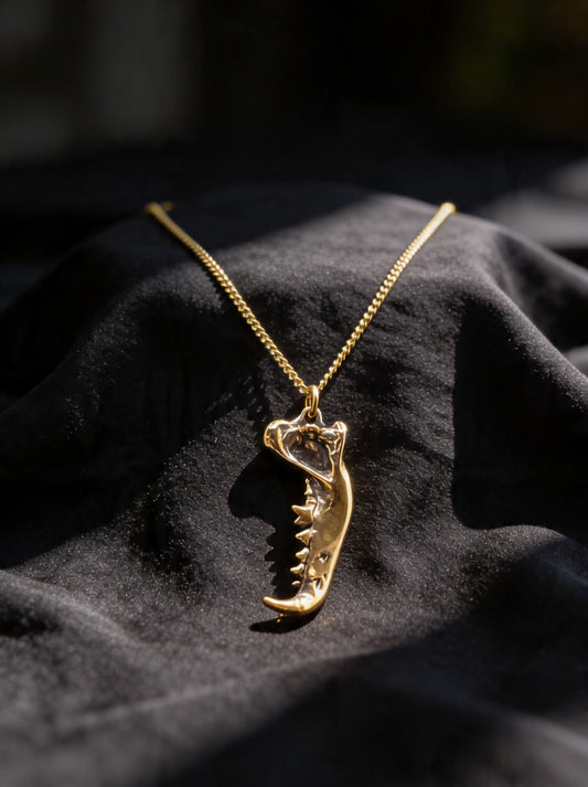 Dire Wolf Jaw Necklace