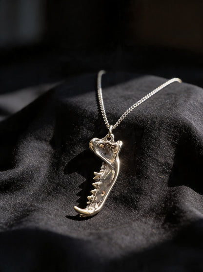 Dire Wolf Jaw Necklace