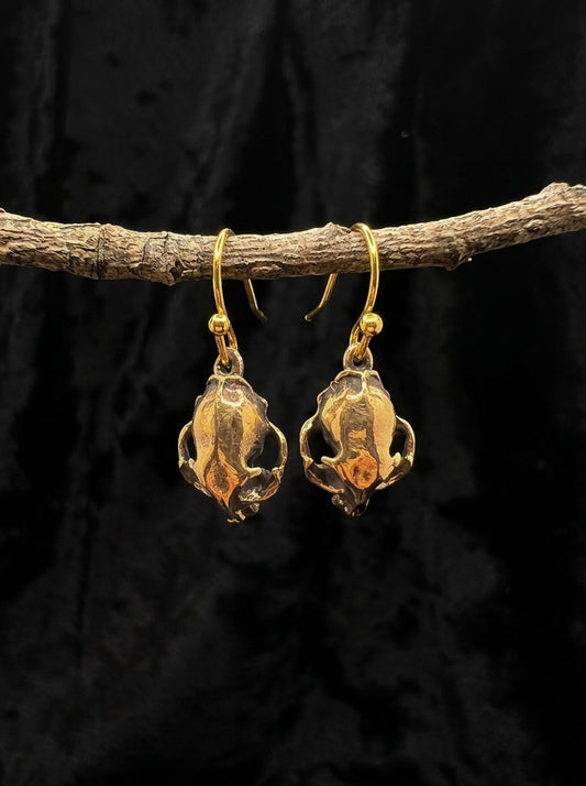 Domestic Cat Skull Earrings