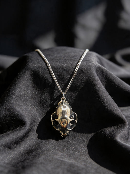 Domestic Cat Skull Necklace