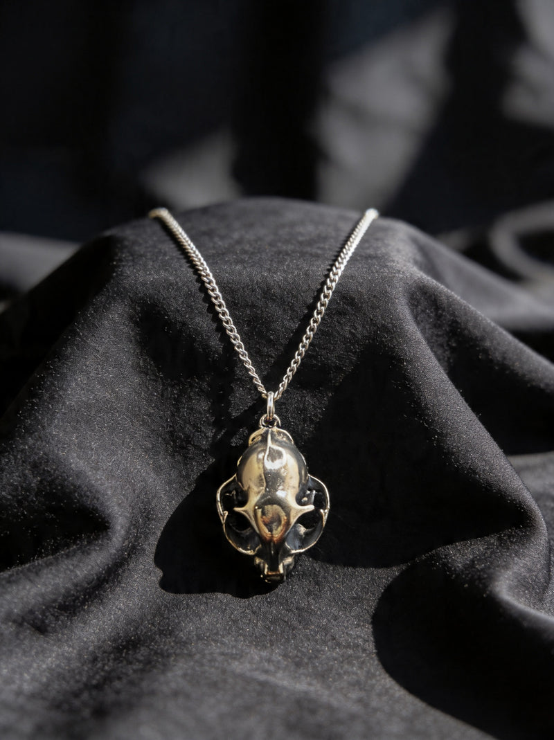 Domestic Cat Skull Necklace