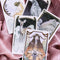 Oracle Decks