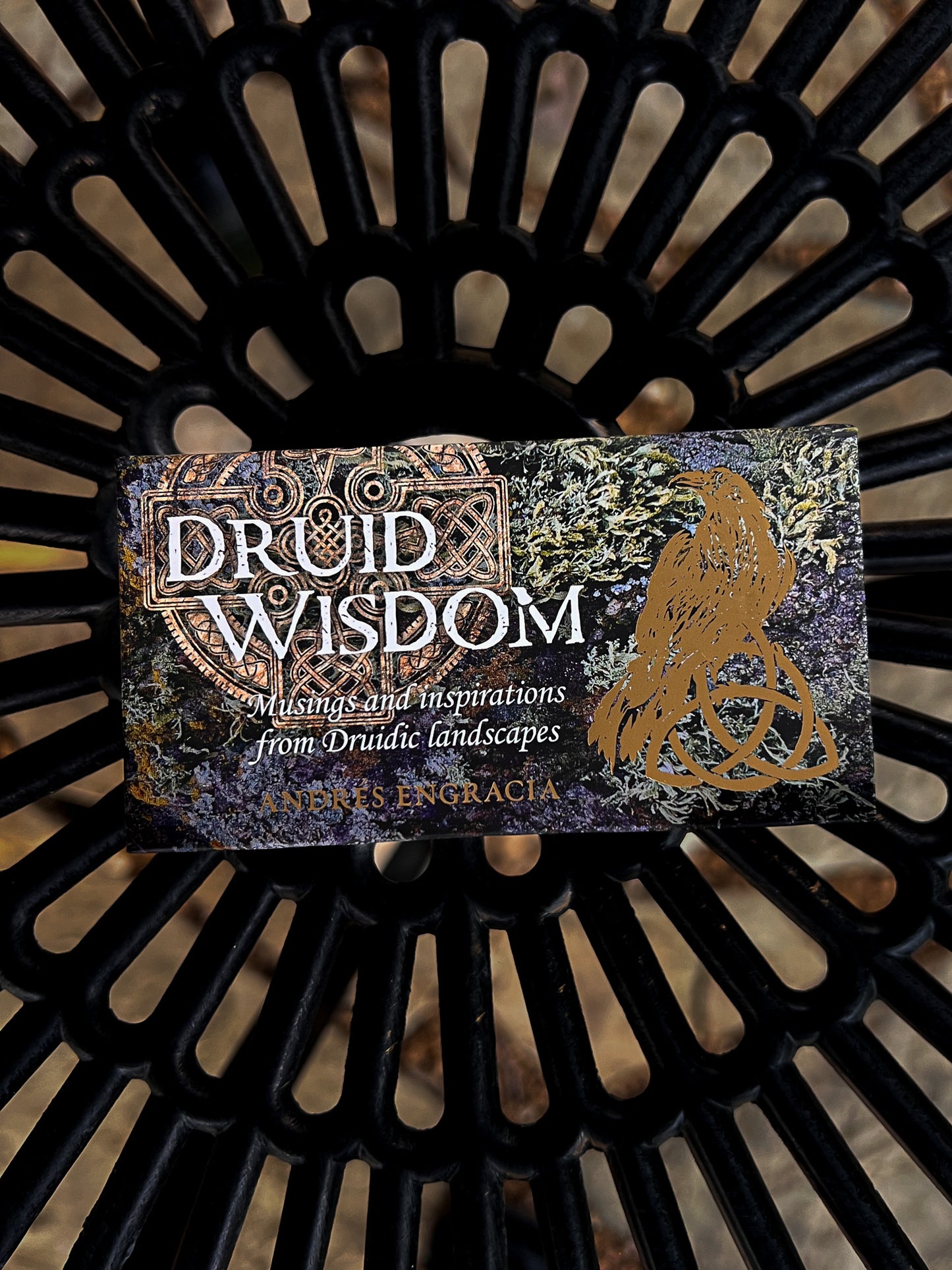 Druid Wisdom By Andres Engracia