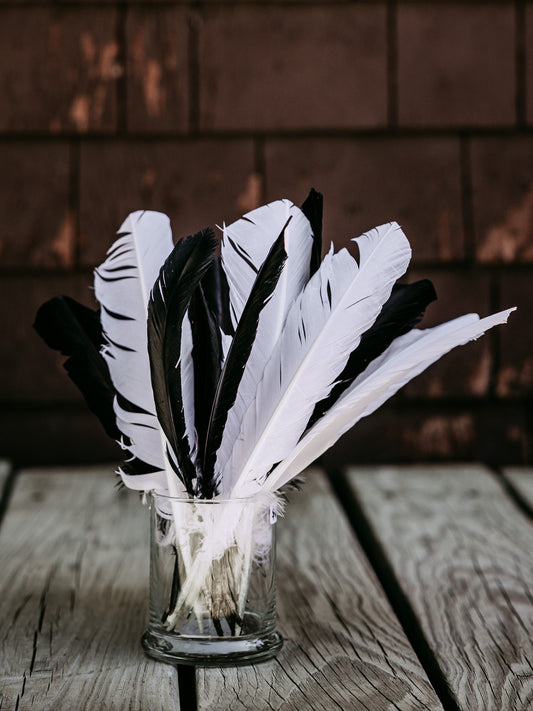 Dyed Turkey Feather