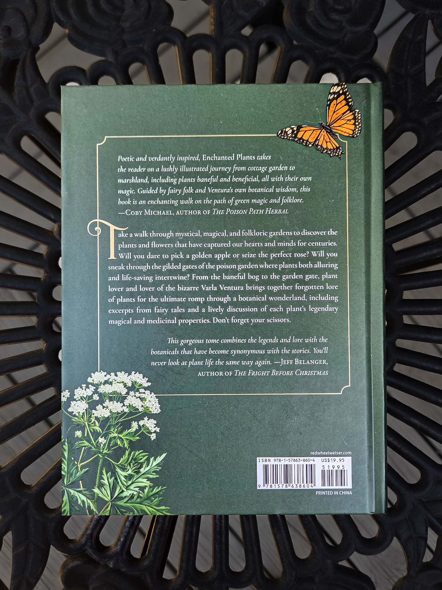 Enchanted Plants: A Treasury of Botanical Folklore and Magic by Varla Ventura