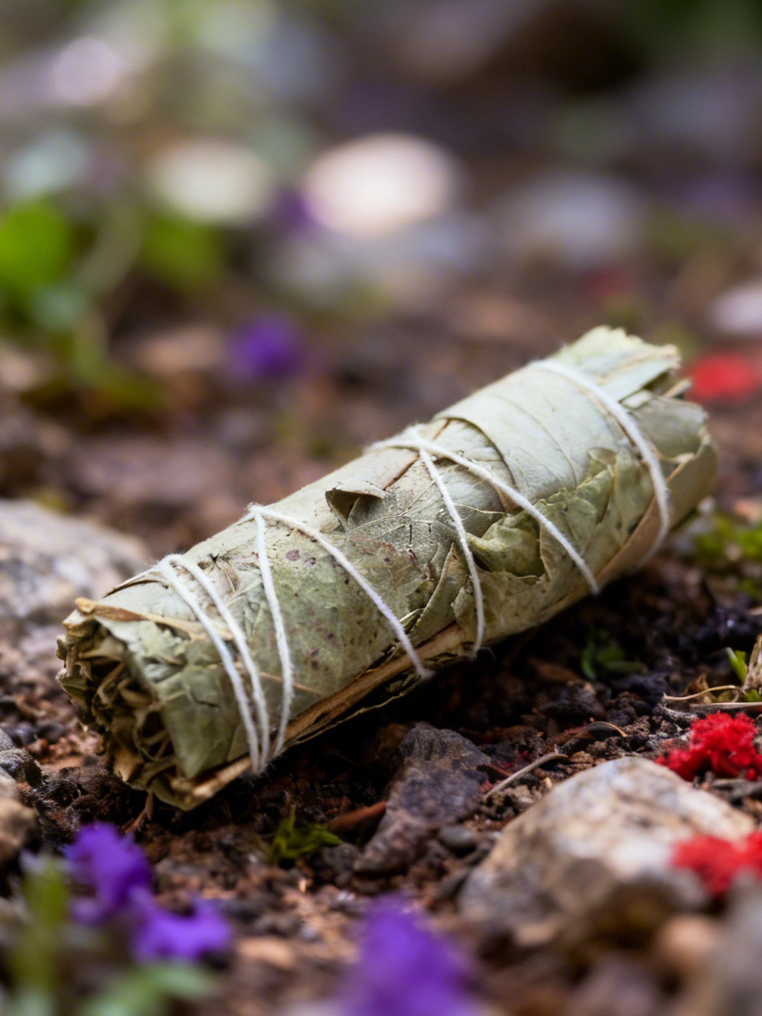 Incense & Smudge Sticks