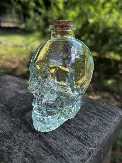 Glass Skull Jar