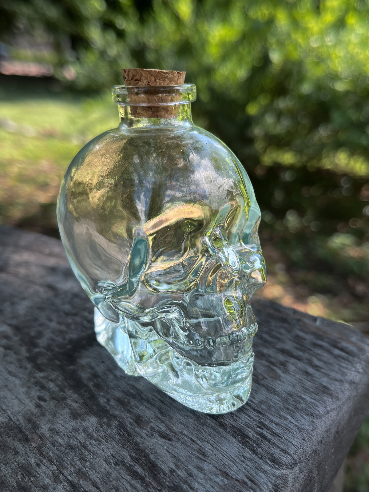 Glass Skull Jar