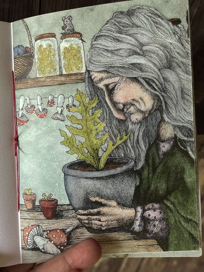 Have You Met the Witch of the Wood?