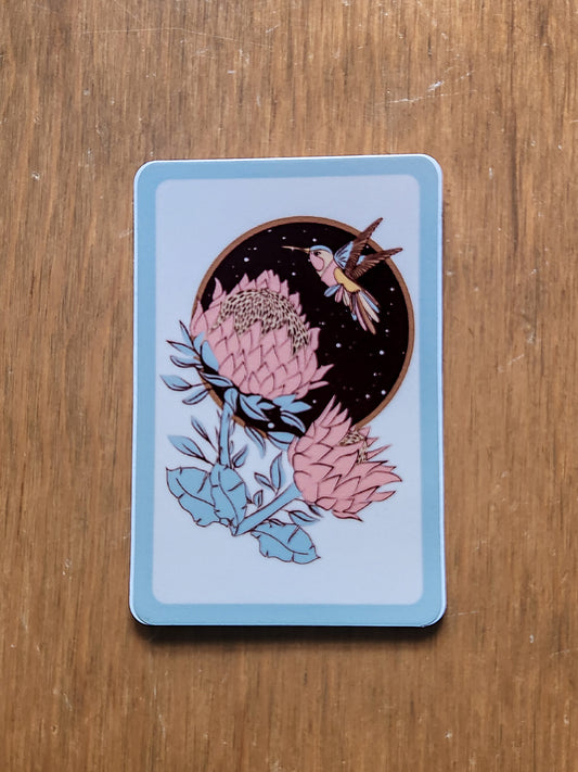 Hummingbird Noche Sticker