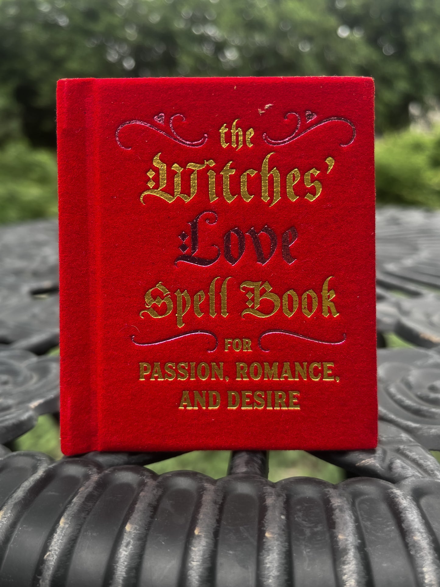 The Witches' Love Spell Book