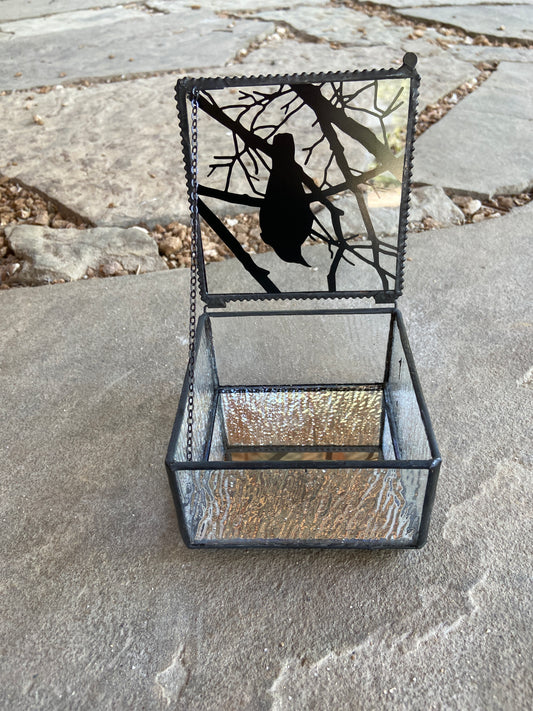 Raven Mirrored Glass Box