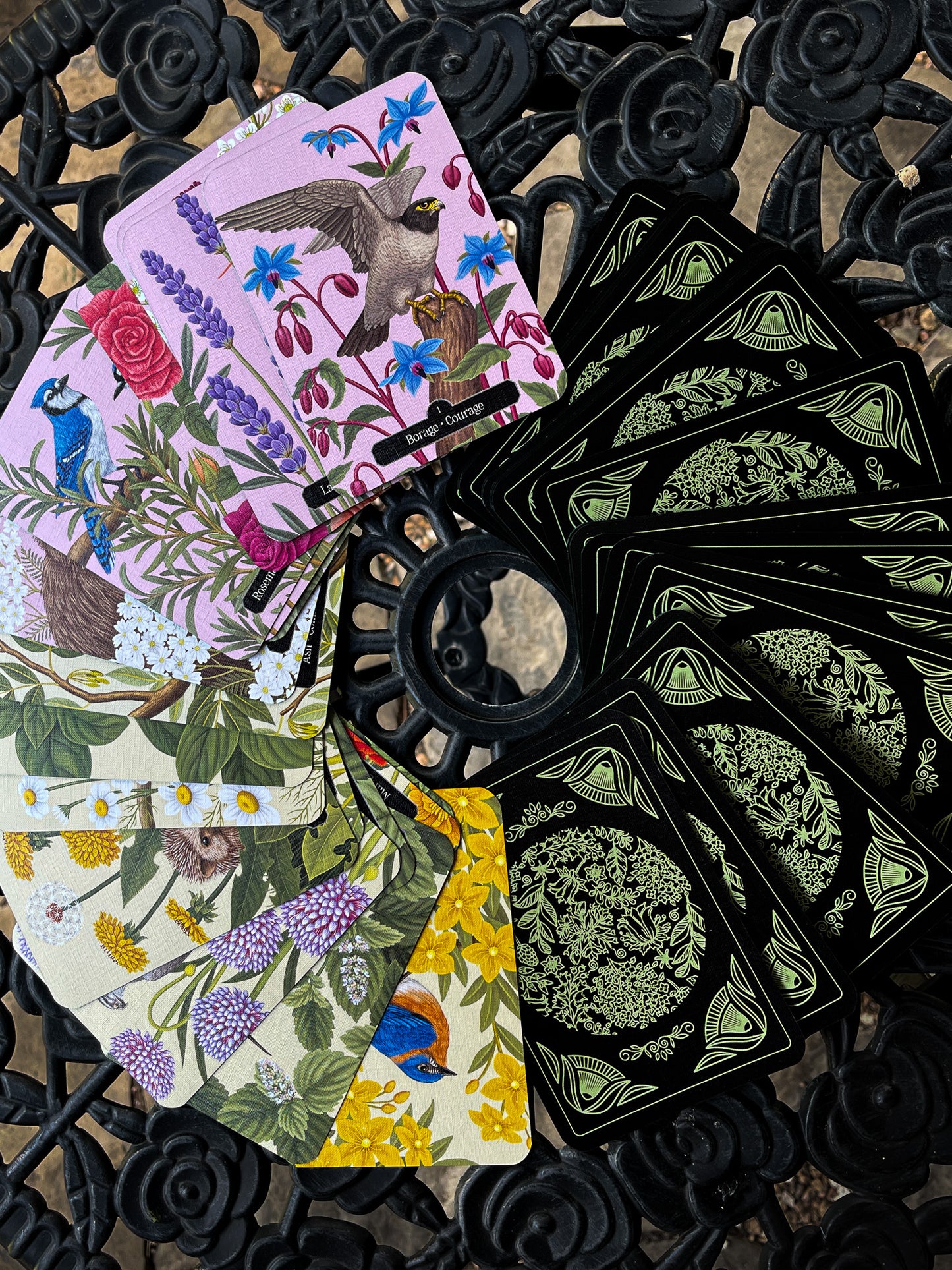 Kate Forsyth's Hedgewitch Oracle
