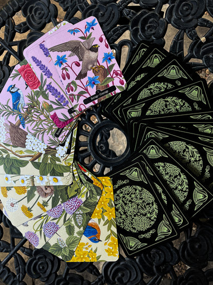 Kate Forsyth's Hedgewitch Oracle