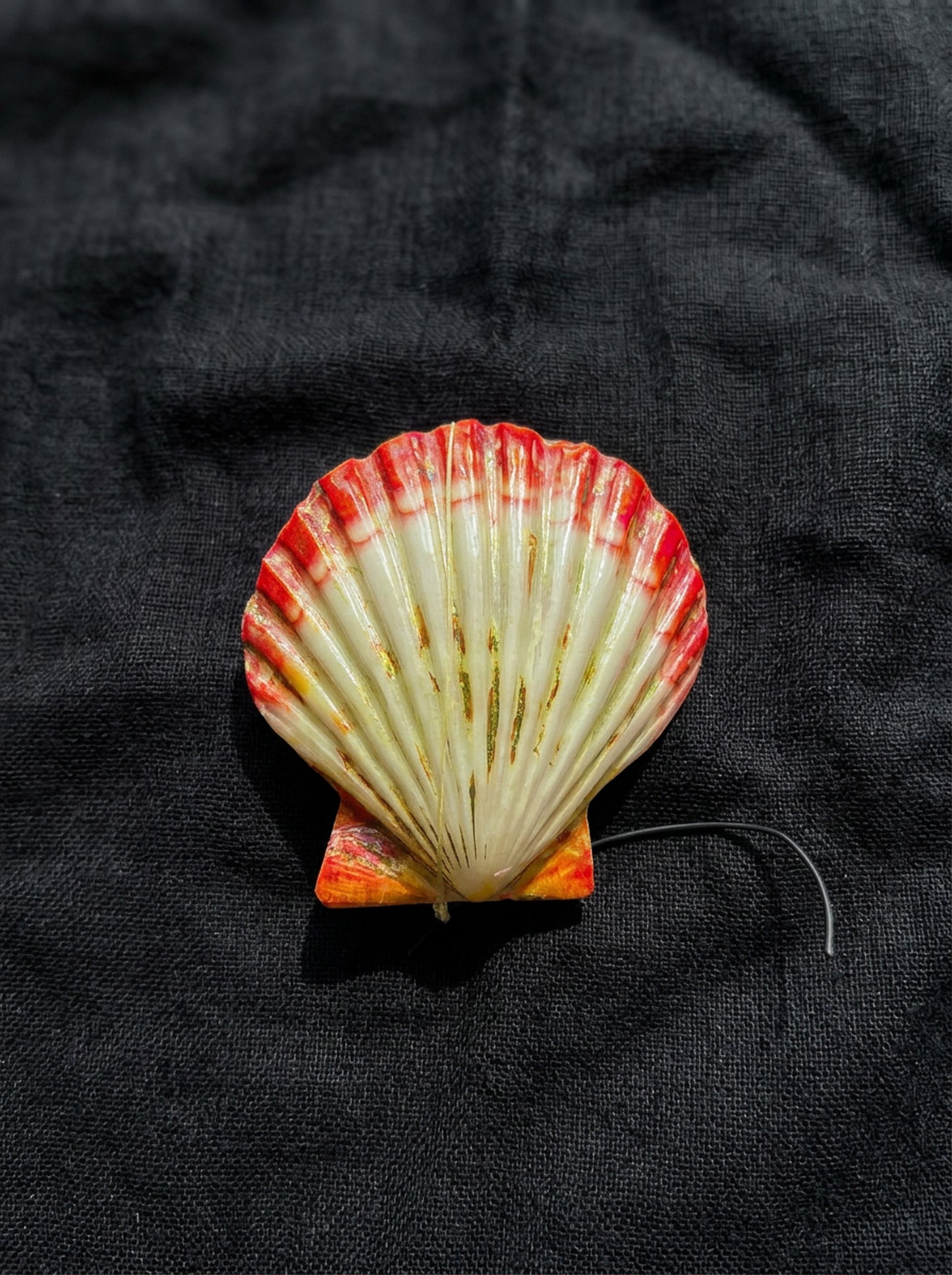 Assorted Shells (choose one)