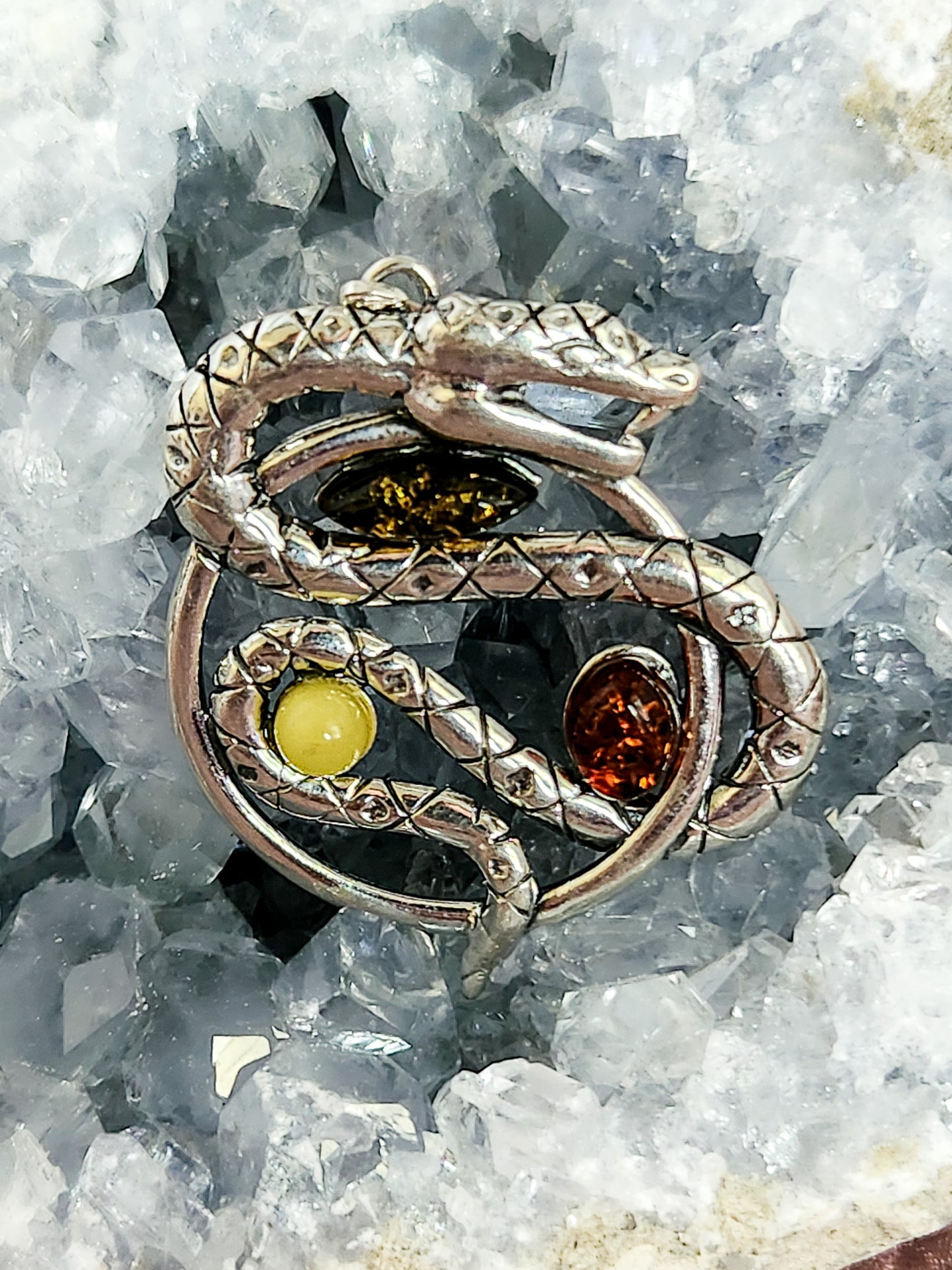 Large Multi-Color Amber Snake on Circle Pendant