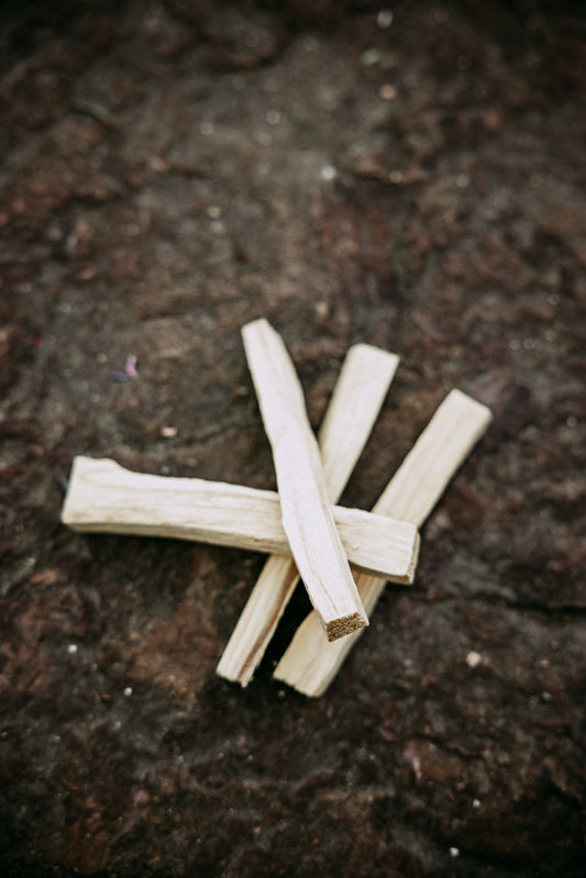 Large Palo Santo