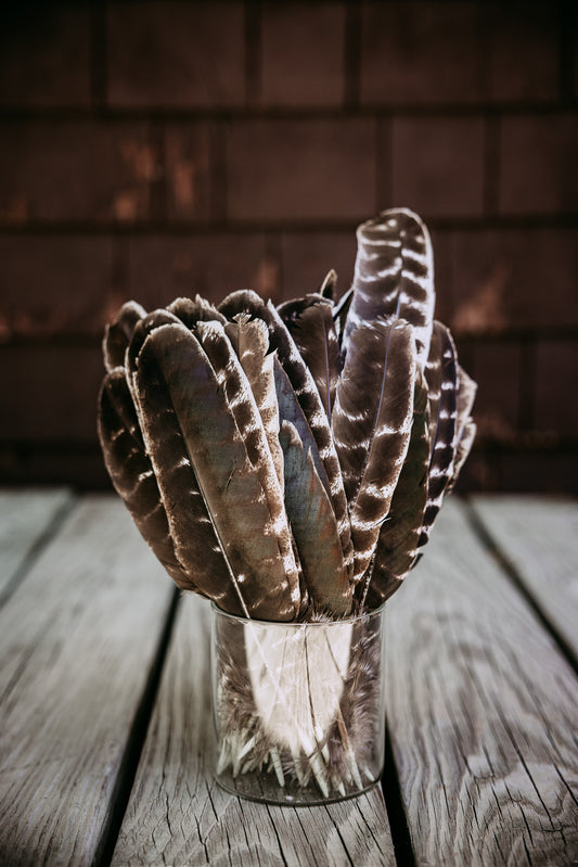 Spotted Turkey Feather