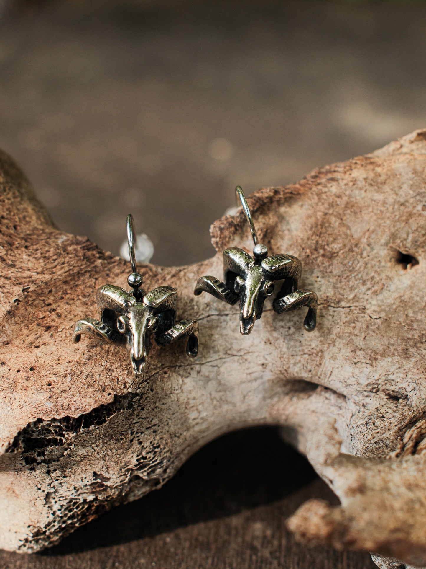 Merino Ram Skull Earrings