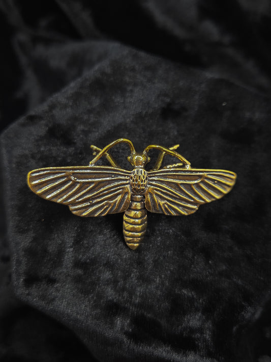 Mini Brass Moth