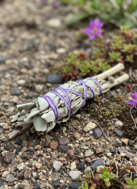 Mini White Sage Smudge Stick