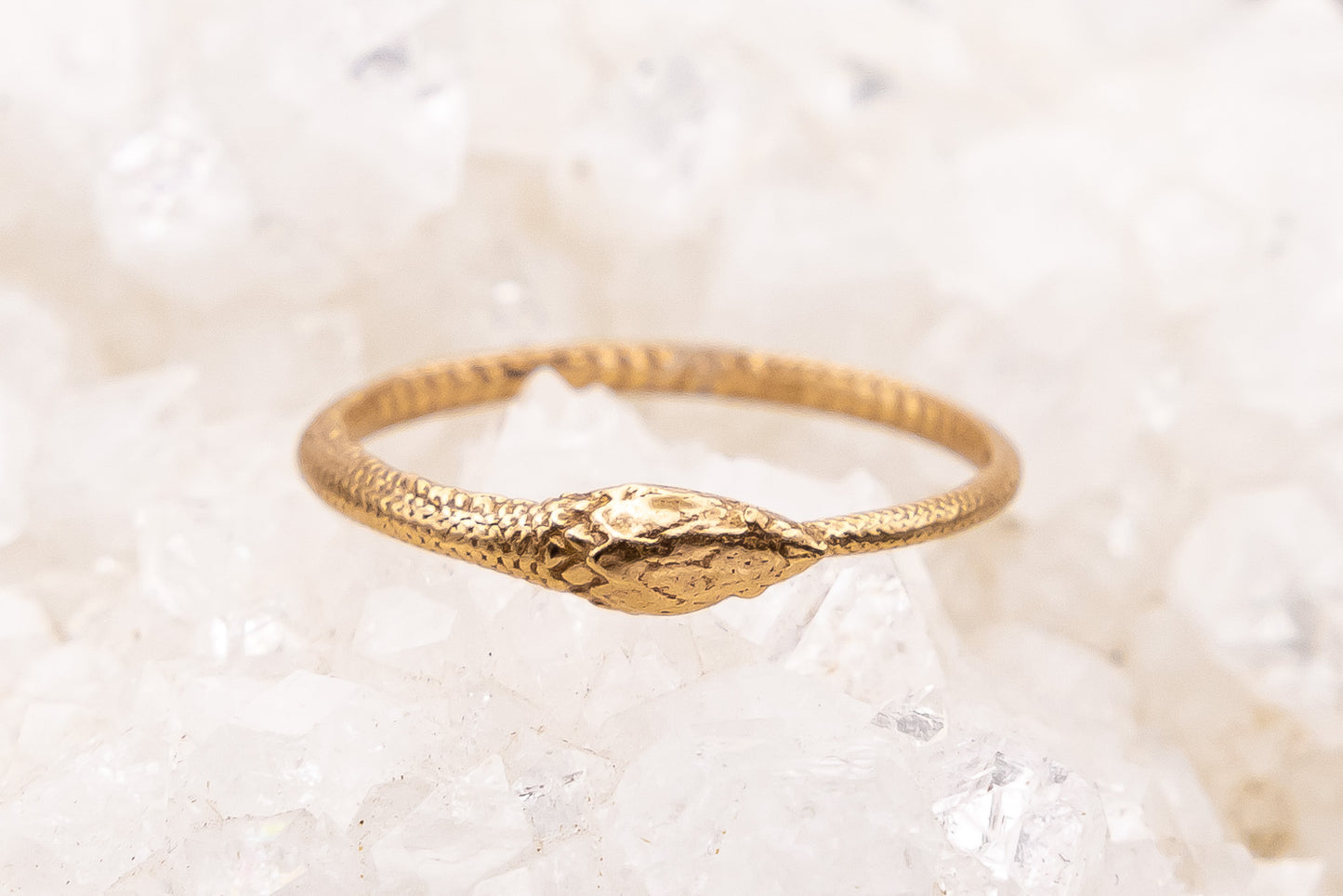 Ouroboros Snake Ring