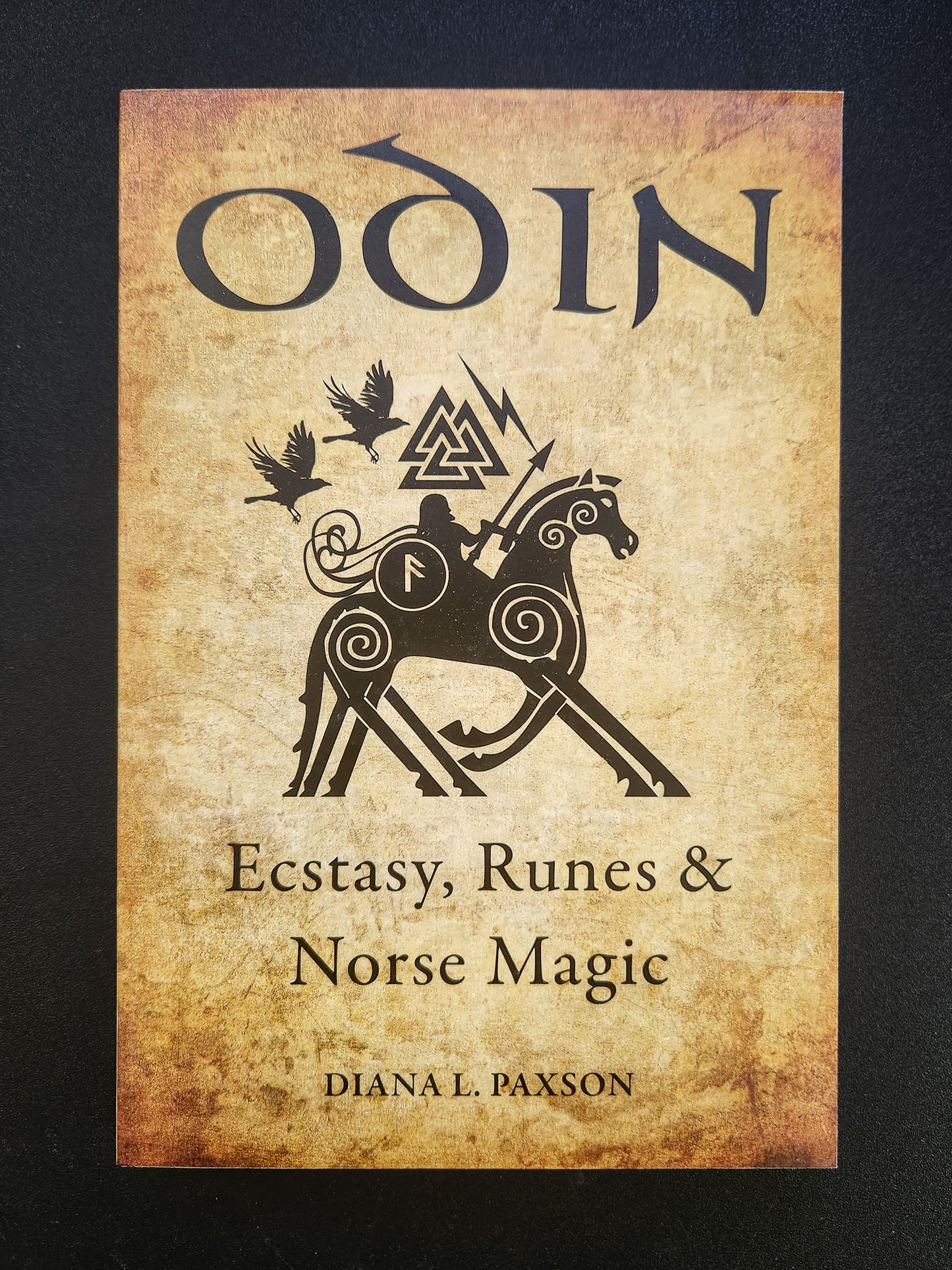 Odin by Diana L. Paxson