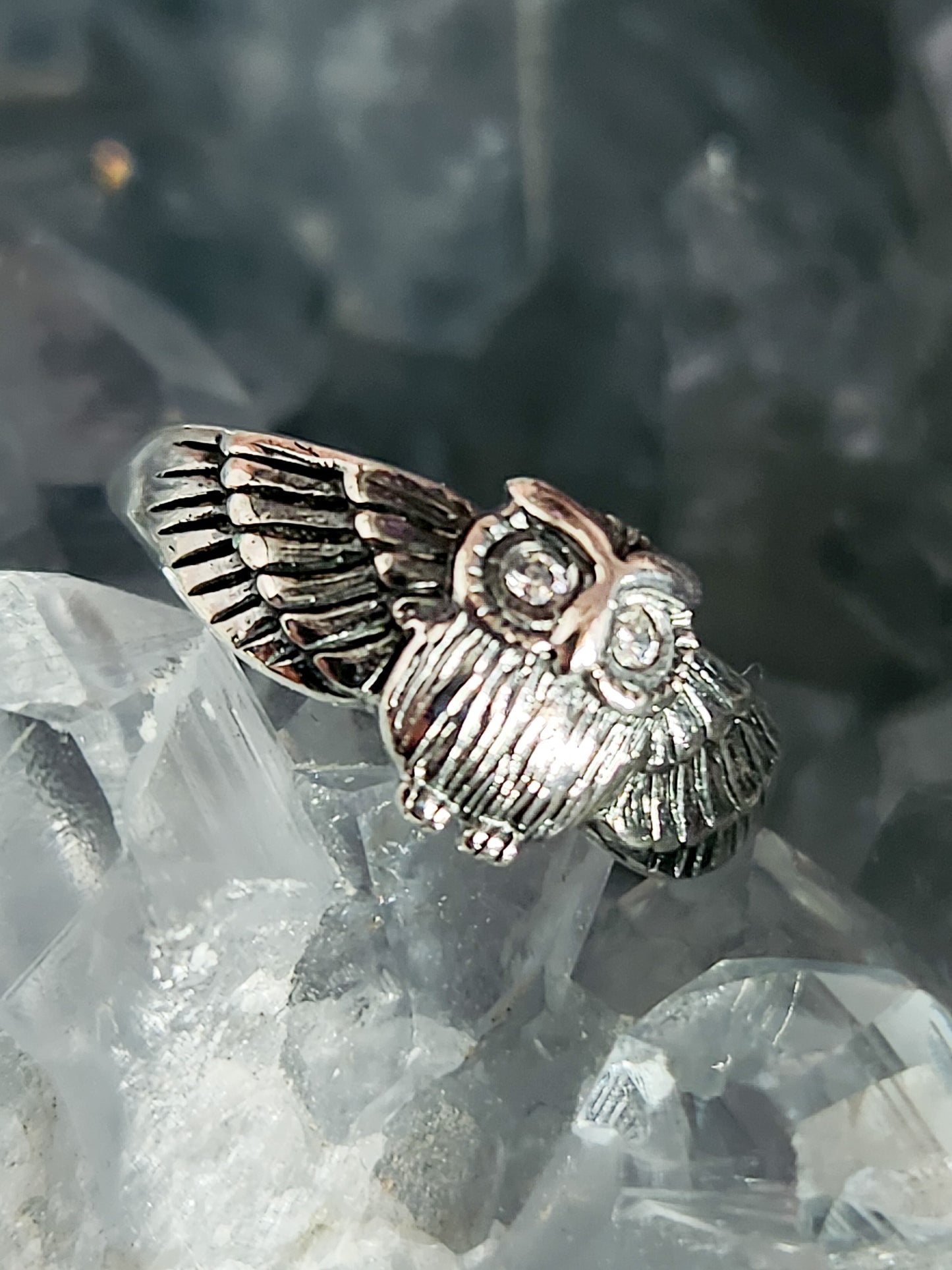 Owl With Eye Ring