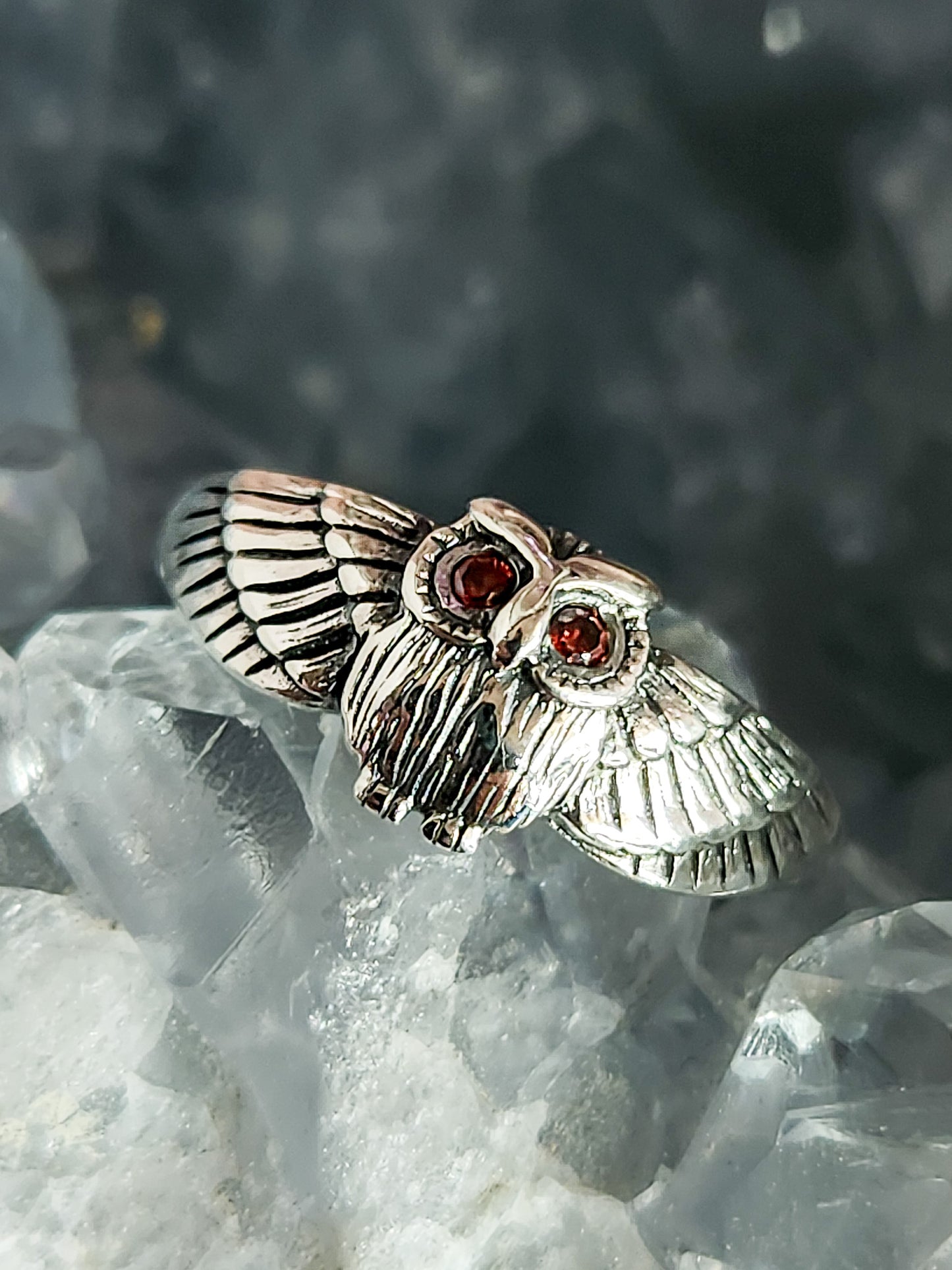 Owl With Eye Ring