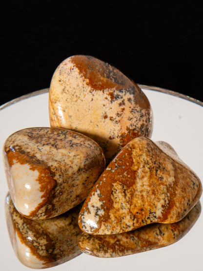 Picture Jasper Tumble