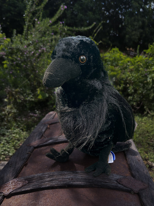 Raven Plush Toy
