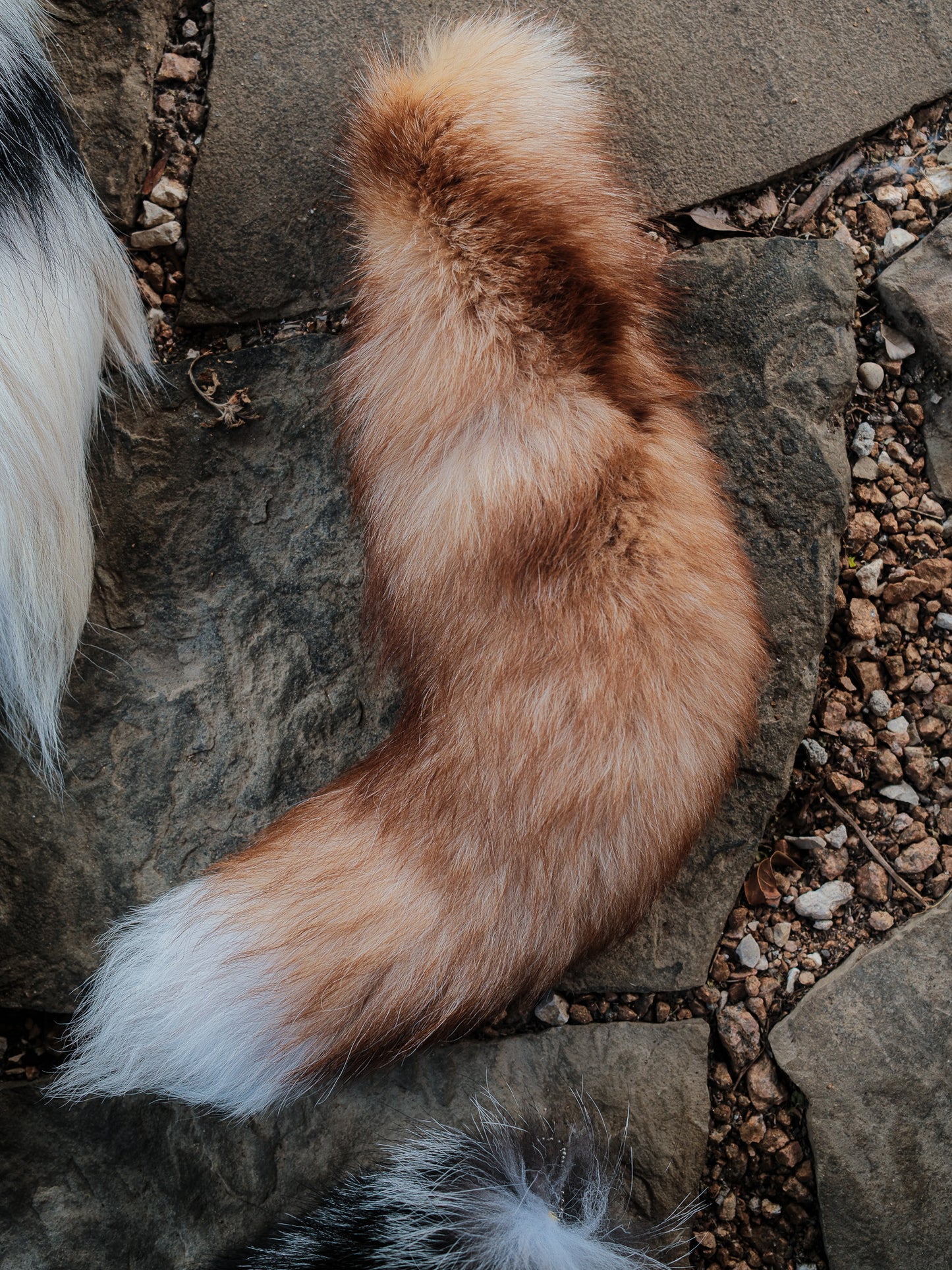Real Fox Tail