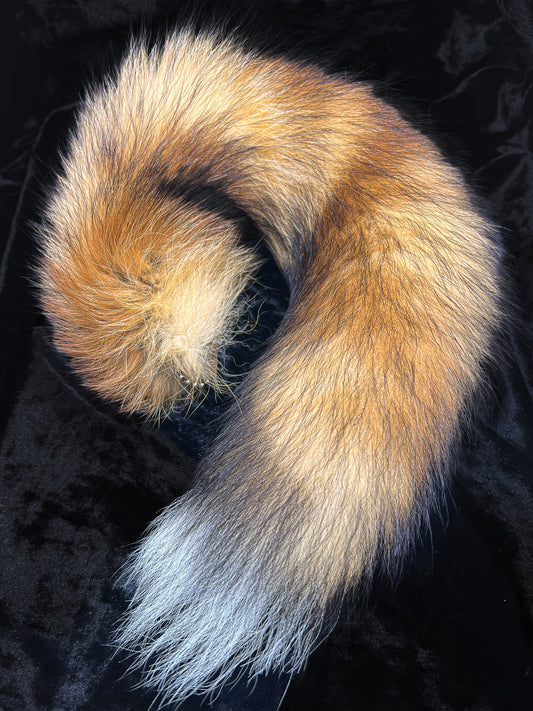 Real Fox Tail
