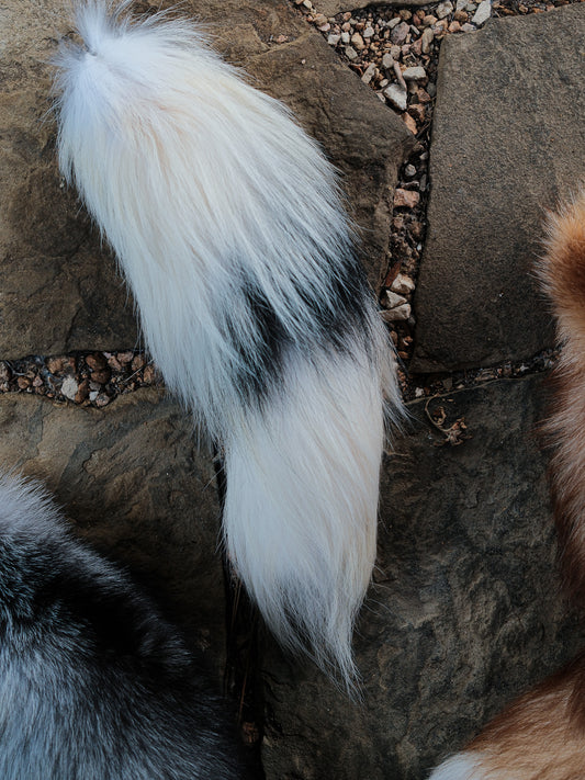Real Fox Tail