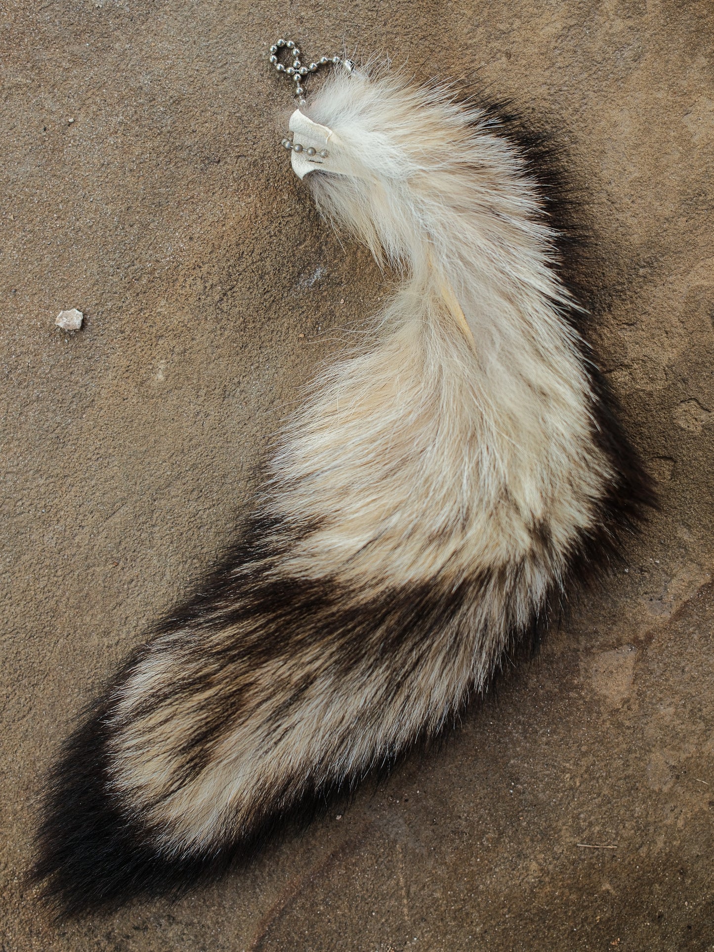 Real Fox Tail