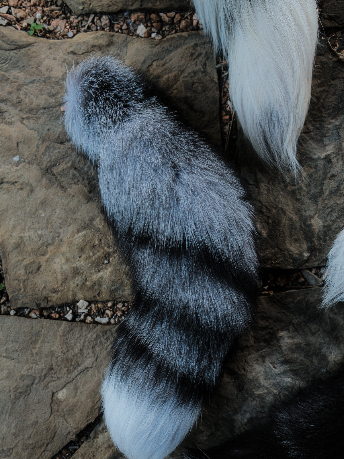 Real Fox Tail