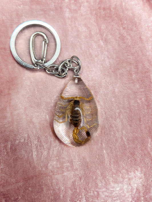 Scorpion Keychain