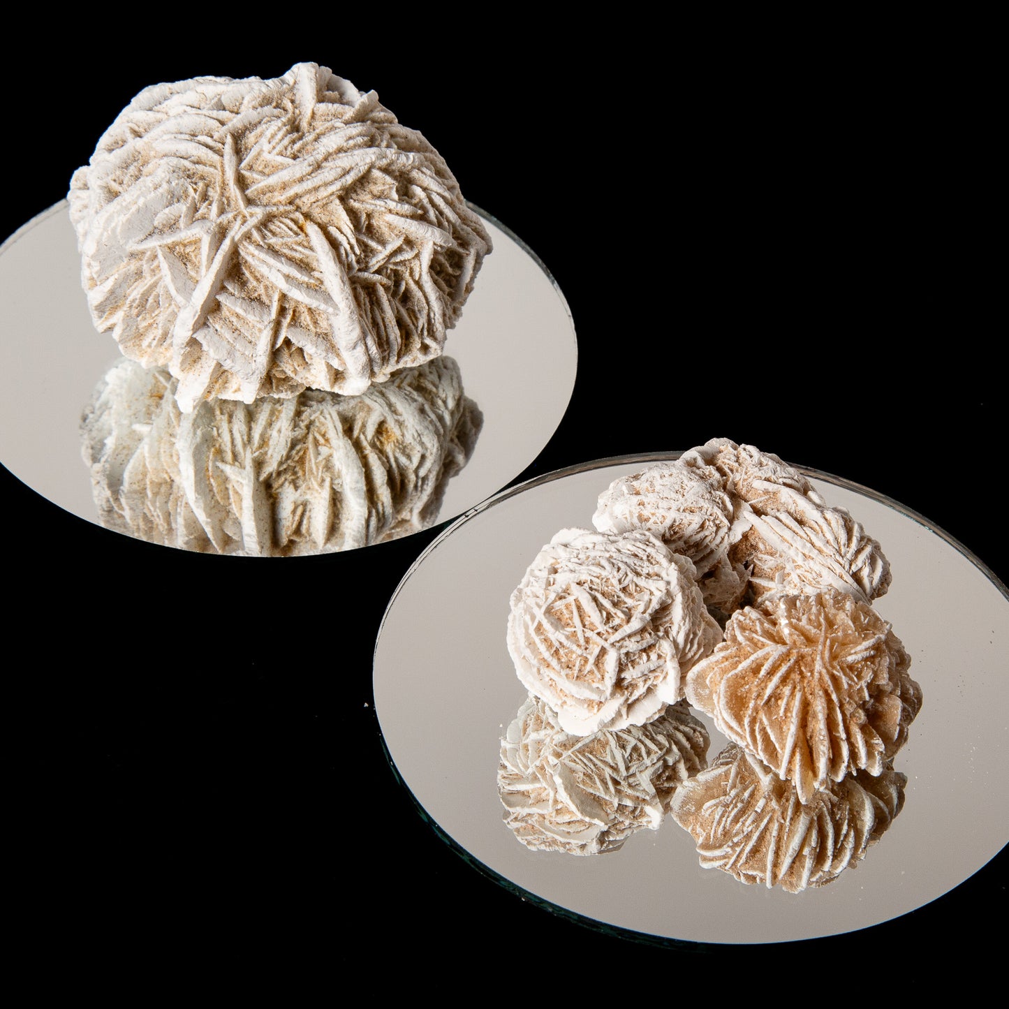 Selenite Desert Rose Raw