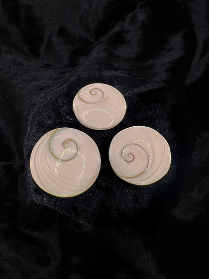 Shiva Eye Shell